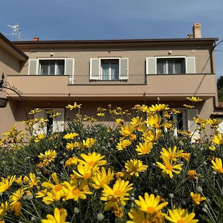 Casa Anna Asciano Apartment Asciano Pisano Екстериор снимка